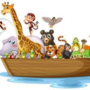 Animals