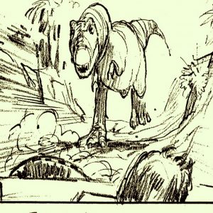 Animals-Storyboards